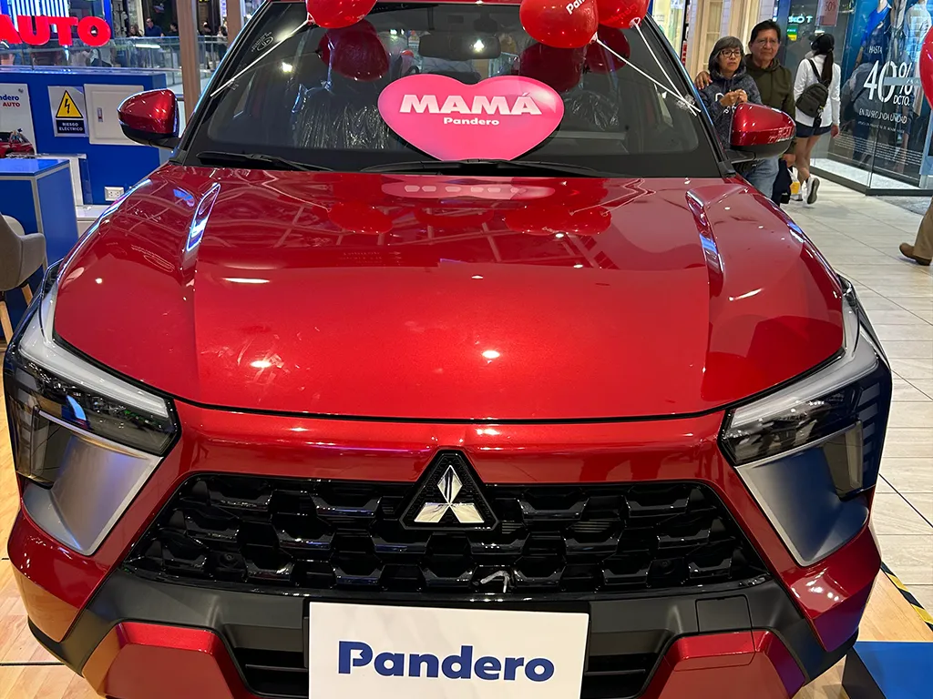 Pandero - 6